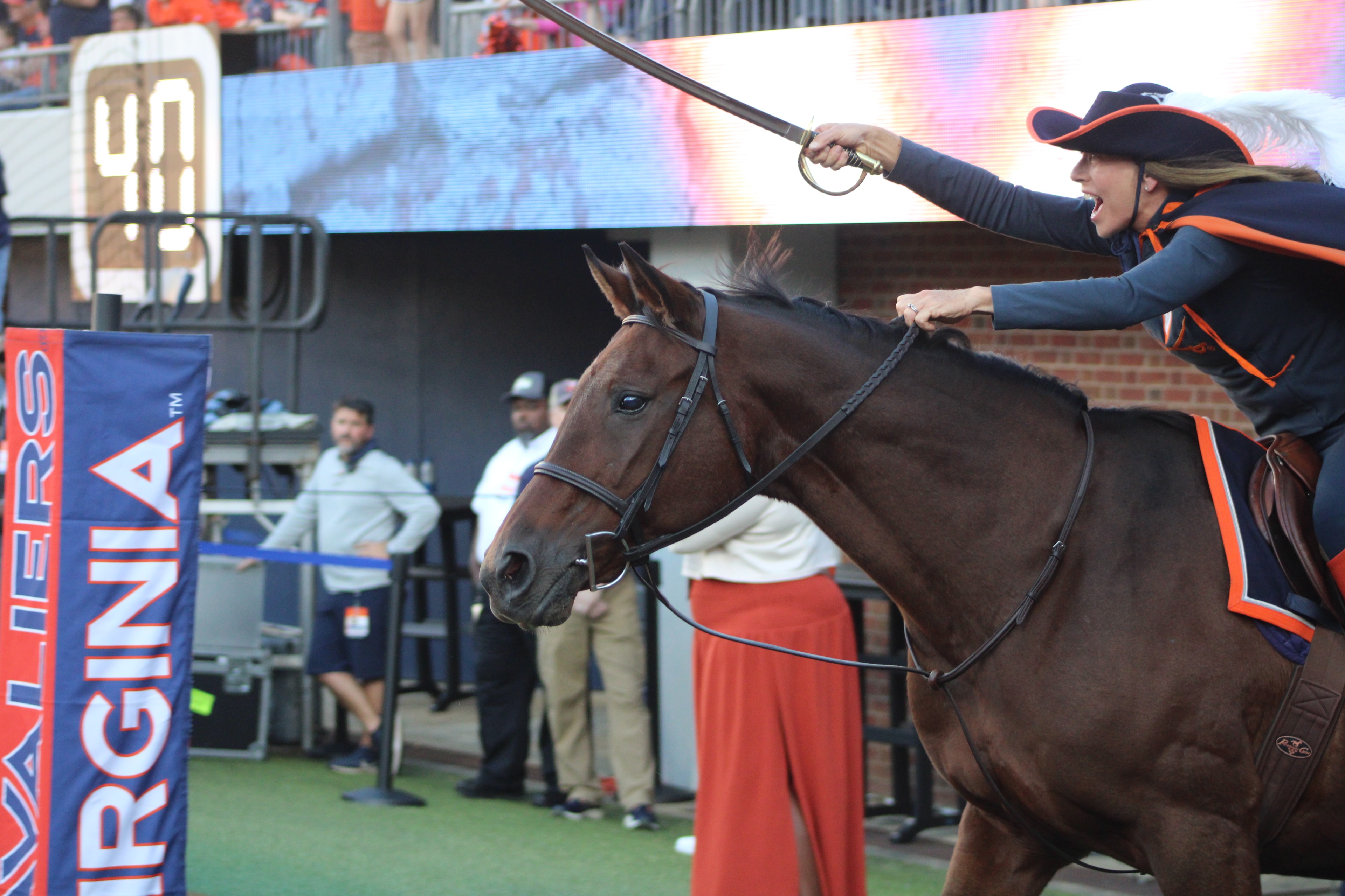 Fans at Virginia vs Delaware game day